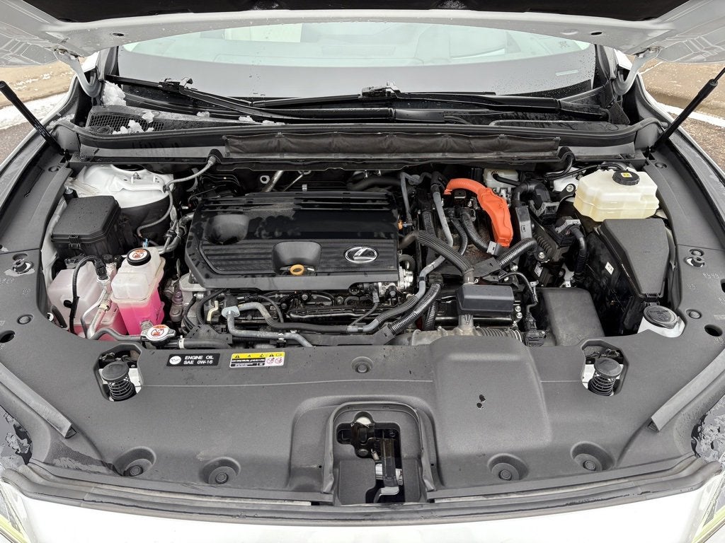 2023 Lexus RX 350h Luxury