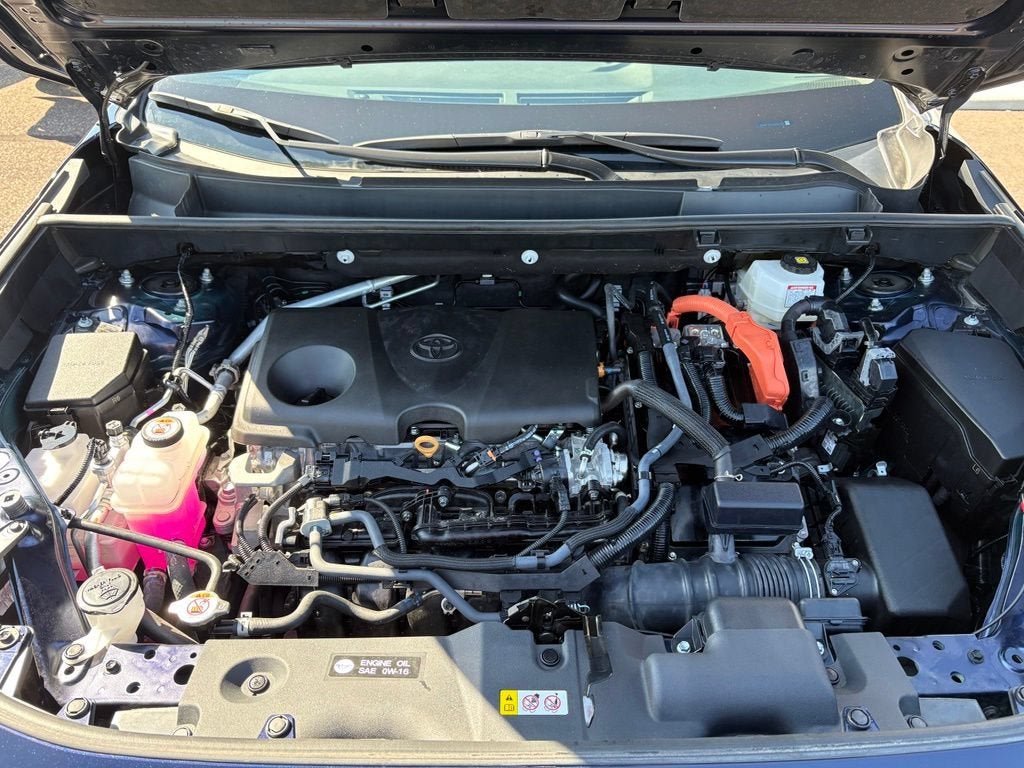 2025 Toyota RAV4 Hybrid XLE