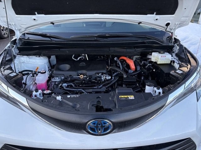 2025 Toyota Sienna LE