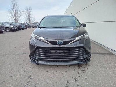 2025 Toyota Sienna LE