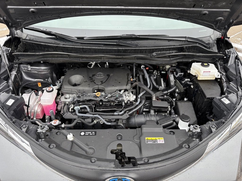 2025 Toyota Sienna XLE