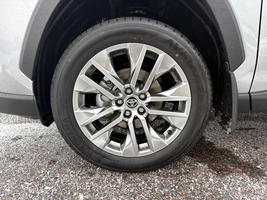 2025 Toyota RAV4 XLE Premium